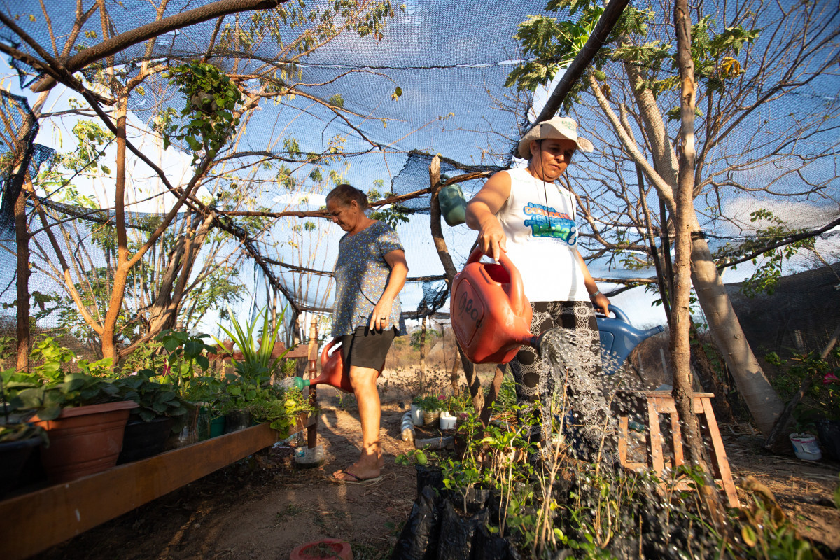 Ana Mendes/Imagens Humanas