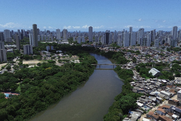   (Divulgação)