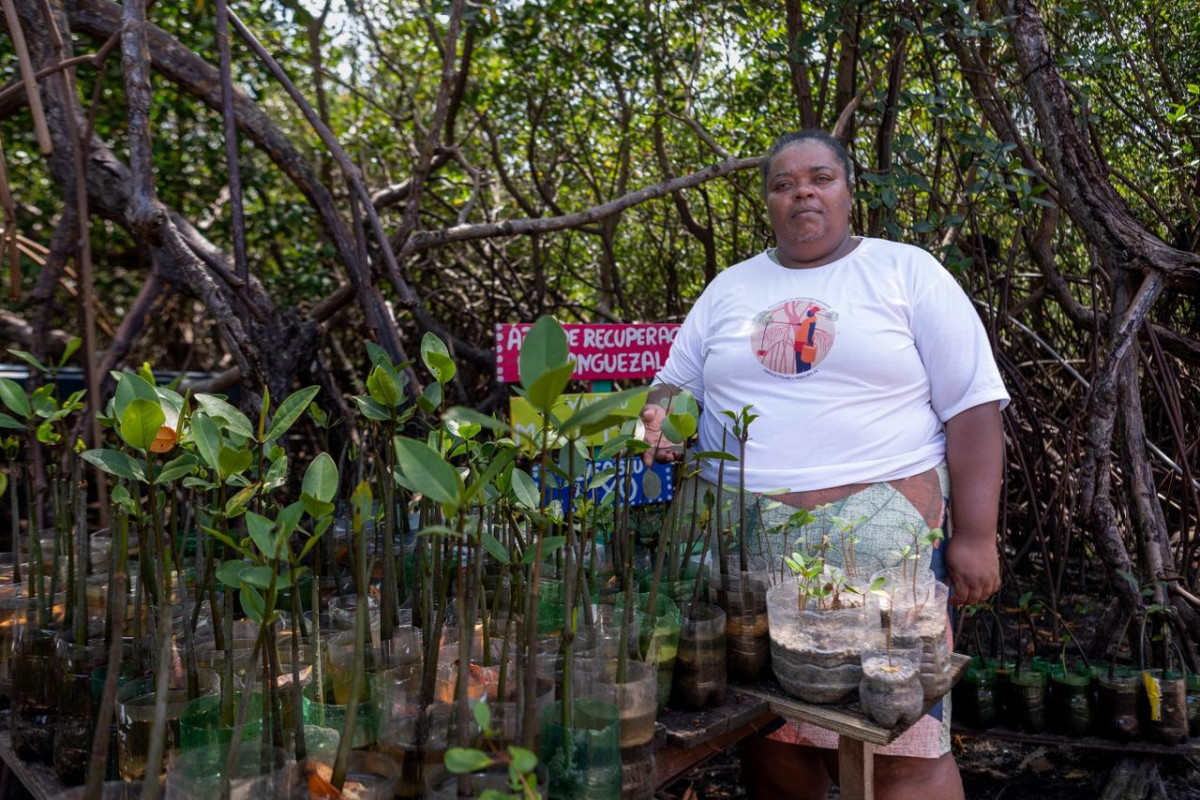 Helena Ivalda, conhecida como Leninha, quer replantar mangue envenenado (Rafael Vieira/DP Foto)