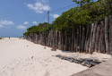 Muro em Maracaípe - Rafael Vieira/DP Foto
