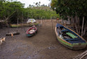 Canoas utilizadas pelos quilombolas do Engenho Siqueira, em Rio Formoso - Rafael Vieira/DP Foto