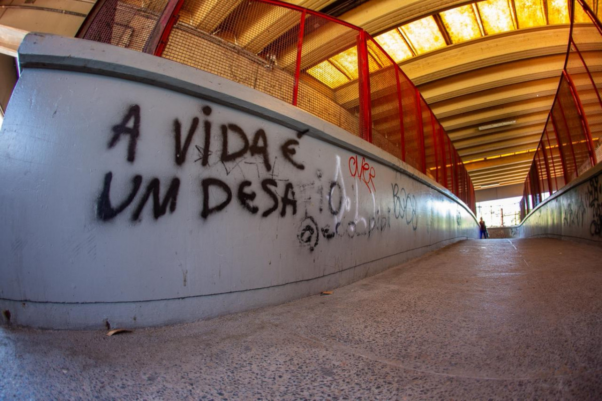 Metrô do Recife tem furto de 1,2 km de cabos e 30 vidros quebrados em menos de 10 meses
 (Fotos: Rafael Vieira)