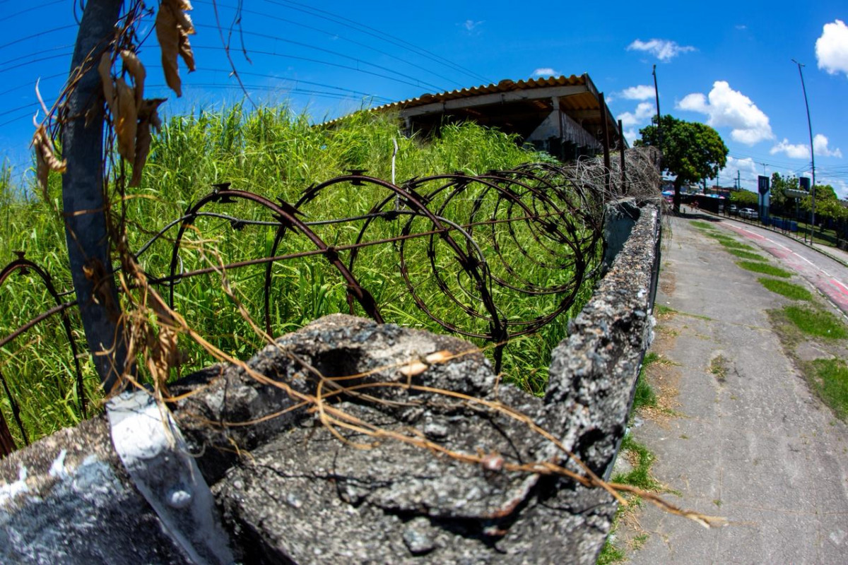 Metrô do Recife tem furto de 1,2 km de cabos e 30 vidros quebrados em menos de 10 meses
 (Fotos: Rafael Vieira)