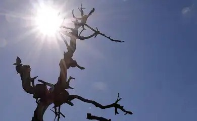 Foto: Arquivo/Agência Brasil