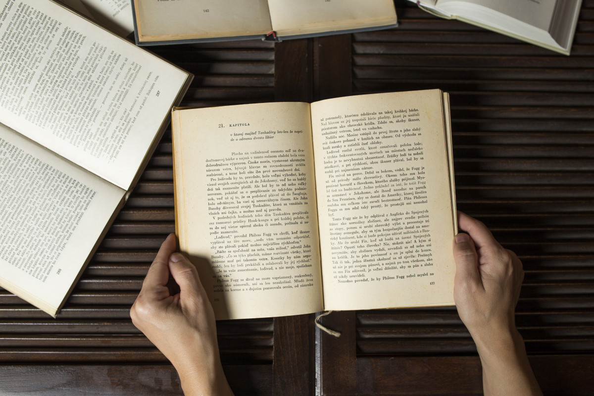 Compartilho com o leitor breves impressões de leitura, a começar pelo livro 