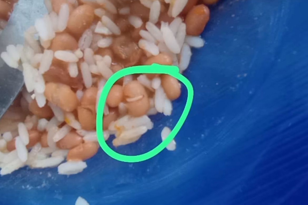 Alunos denunciam ter encontrado larvas e plástico em merenda de ETE (Foto: Reprodução/Instagram) Alunos denunciam ter encontrado larvas e plástico em merenda de ETE/Foto: Reprodução/Instagram