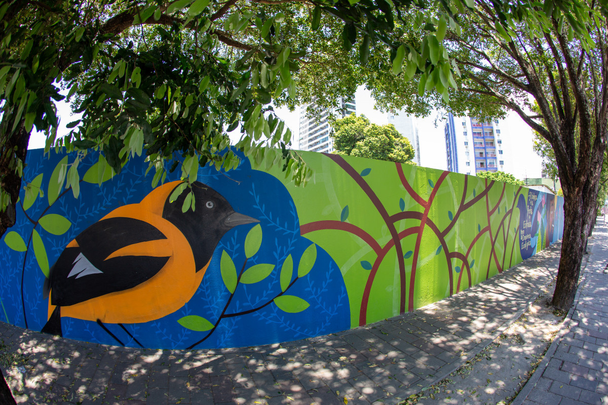 Recife, PE, 15/10/2025 - MURAL COLEGIO LICEU NOBREGA - Imagens do mural do colégio Liceu Nobrega. ( Rafael Vieira) Recife, PE, 15/10/2025 - MURAL COLEGIO LICEU NOBREGA - Imagens do mural do colégio Liceu Nobrega./ Rafael Vieira