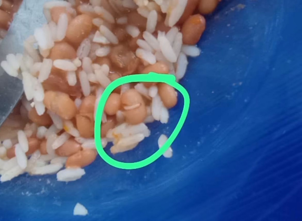 Foto: Reprodução/Instagram