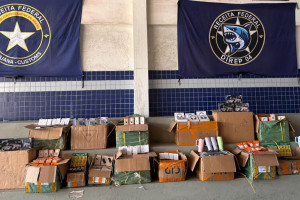 Receita Federal apreende 1,5 toneladas de produtos falsificados avaliados em R$ 1 milhão, no Grande Recife