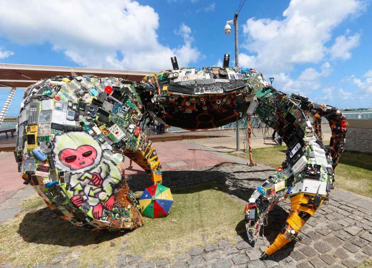 Foto: Marina Torres/DP Foto