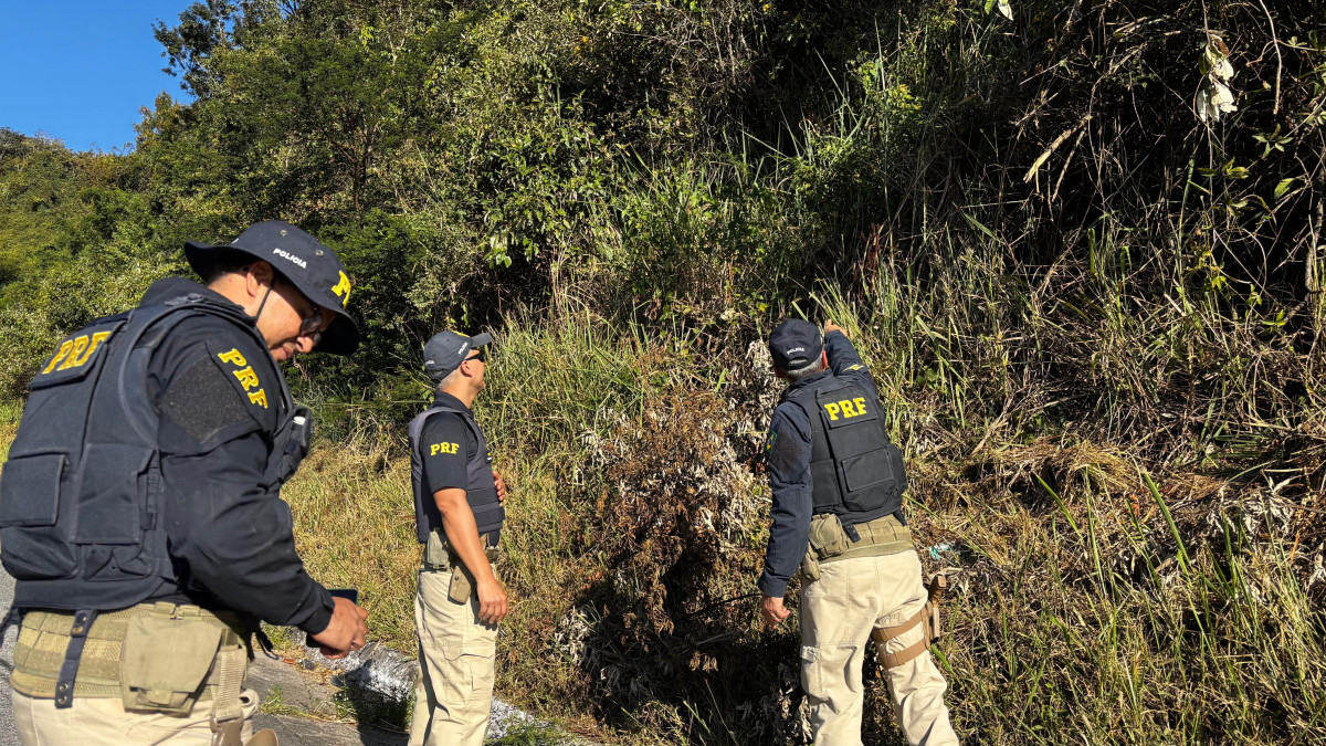 PRF inicia perícia técnica para esclarecer causas de acidente que deixou vítimas em Saloá
(Divulgação/PRF) PRF inicia perícia técnica para esclarecer causas de acidente que deixou vítimas em Saloá
/Divulgação/PRF