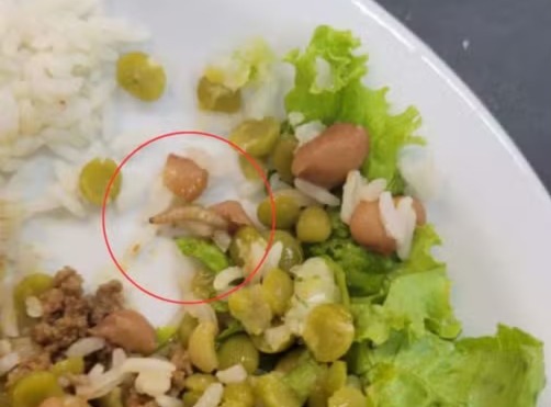 Larva em comida servida em refeitório do Carrefour/Foto: Reprodução