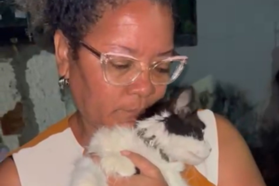 Os dois gatos de Sandra são Thor, um macho, e Cleo, uma fêmea. (Foto: Reprodução/Cortesia) Os dois gatos de Sandra são Thor, um macho, e Cleo, uma fêmea. /Foto: Reprodução/Cortesia