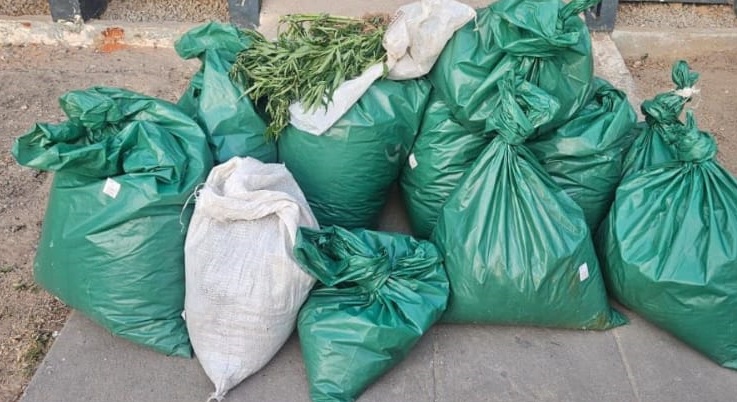Maconha foi encontrada em sacos, em área indígena (PMPE) Maconha foi encontrada em sacos, em área indígena /PMPE