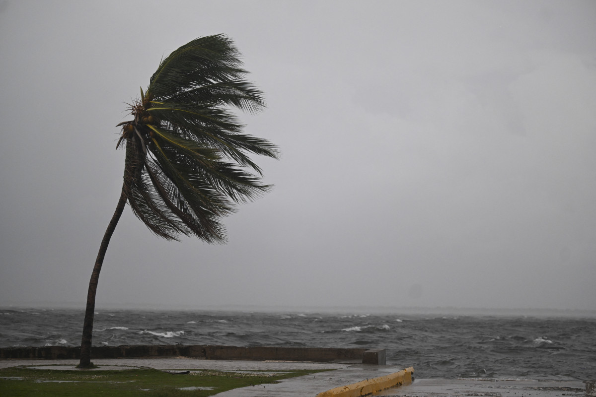 Um coqueiro balança ao vento no Kingston Waterfront, na Ocean Boulevard, em Kingston, Jamaica, enquanto a Jamaica começa a sentir os efeitos do furacão Melissa em 26 de outubro de 2025. O furacão Melissa estava abrindo caminho mortal no Caribe na noite de 25 de outubro, com rápida intensificação esperada para o fim de semana, enquanto tomava um curso preocupantemente lento em direção à Jamaica e à ilha de Hispaniola, disseram os meteorologistas. (Foto de Ricardo Makyn / AFP) ( AFP) Um coqueiro balança ao vento no Kingston Waterfront, na Ocean Boulevard, em Kingston, Jamaica, enquanto a Jamaica começa a sentir os efeitos do furacão Melissa em 26 de outubro de 2025. O furacão Melissa estava abrindo caminho mortal no Caribe na noite de 25 de outubro, com rápida intensificação esperada para o fim de semana, enquanto tomava um curso preocupantemente lento em direção à Jamaica e à ilha de Hispaniola, disseram os meteorologistas. (Foto de Ricardo Makyn / AFP)/ AFP