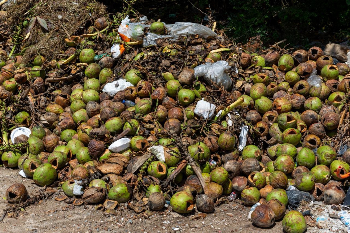 Entulhos próximos a área de mangue em Boa Viagem, Zona Sul do Recife (Foto: Rafael Vieira/DP Foto)