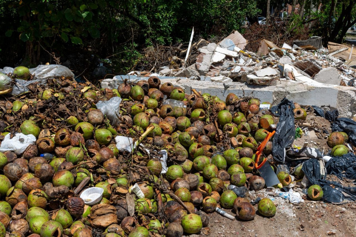 Entulhos próximos a área de mangue em Boa Viagem, Zona Sul do Recife (Foto: Rafael Vieira/DP Foto)