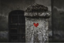- Freepik