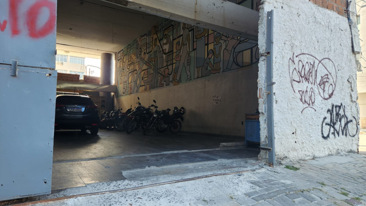 Agua e aos produtos químicos comumente utilizados para lavar veículos podem danificar a obra (Marília Parente/DP)