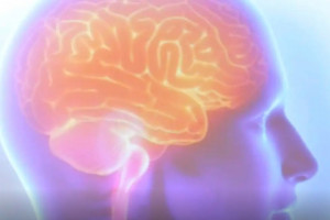 Segundo a coordenadora da Unidade de AVC do HR, Ana Dolores, o principal fator para evitar mortes ou sequelas mais graves é o socorro imediato. 