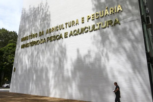 Ministério da Agricultura e Pecuária