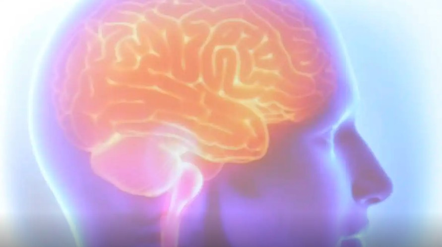 Segundo a coordenadora da Unidade de AVC do HR, Ana Dolores, o principal fator para evitar mortes ou sequelas mais graves é o socorro imediato.  (Foto: Tânia Rêgo/Agência Brasil) Segundo a coordenadora da Unidade de AVC do HR, Ana Dolores, o principal fator para evitar mortes ou sequelas mais graves é o socorro imediato. /Foto: Tânia Rêgo/Agência Brasil