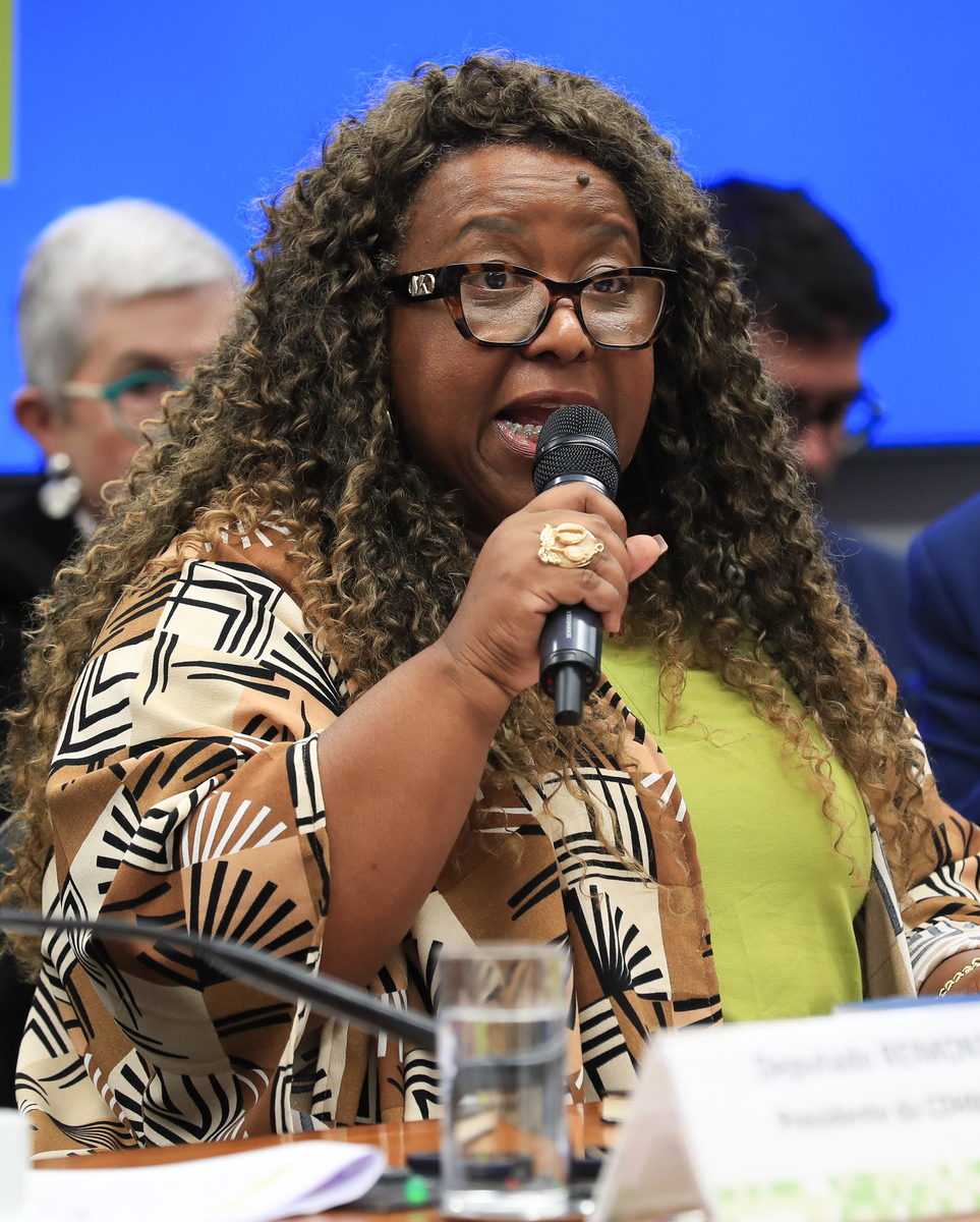 Ministra dos Direitos Humanos e da Cidadania, Macaé Evaristo (Lula Marques/Agência Brasil)