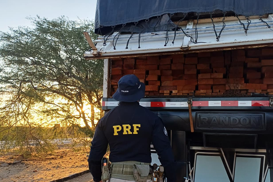 Agentes da PRF apreenderam madeira irregular em três rodovias federais de PE (DIVULGAÇÃO/PRF) Agentes da PRF apreenderam madeira irregular em três rodovias federais de PE/DIVULGAÇÃO/PRF
