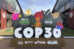 30ª Conferência das Partes da Convenção do Clima das Nações Unidas (COP30)