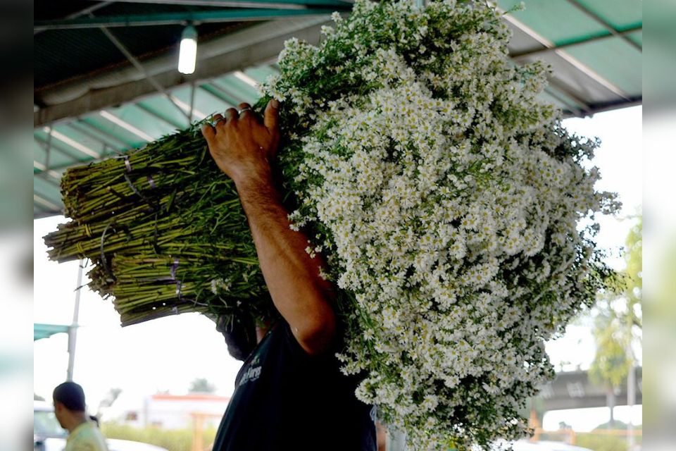 A Especial de Finados do Ceasa-PE acontece no Espaço Reciflor, no estacionamento do local, com entrada gratuita (Foto: Artur Cavalcanti/Divulgação) A Especial de Finados do Ceasa-PE acontece no Espaço Reciflor, no estacionamento do local, com entrada gratuita/Foto: Artur Cavalcanti/Divulgação