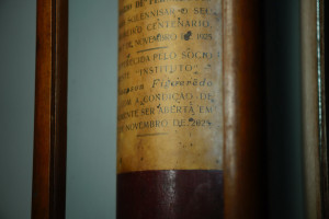 capsula, Francisco Silva