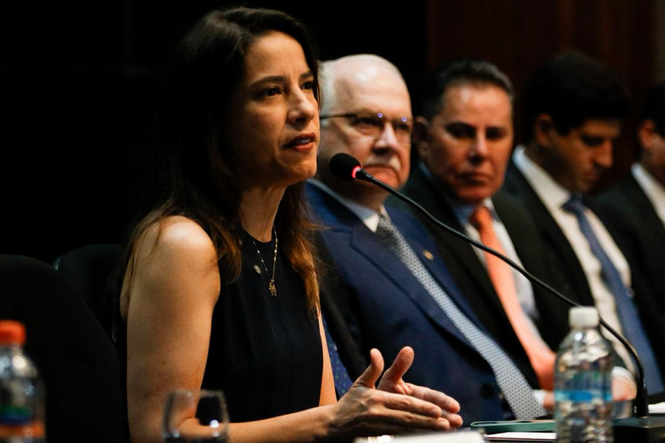 Governadora Raquel Lyra comentou sobre compras de novos trens para o metrô/MARINA TORRES/DP