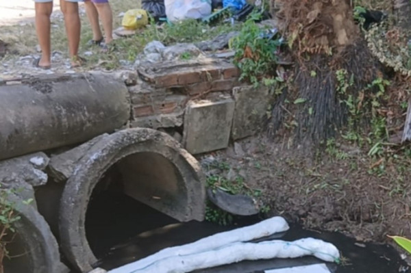 Nove animais teriam morrido por contaminação por combustível em canal (Foto: Divulgação)