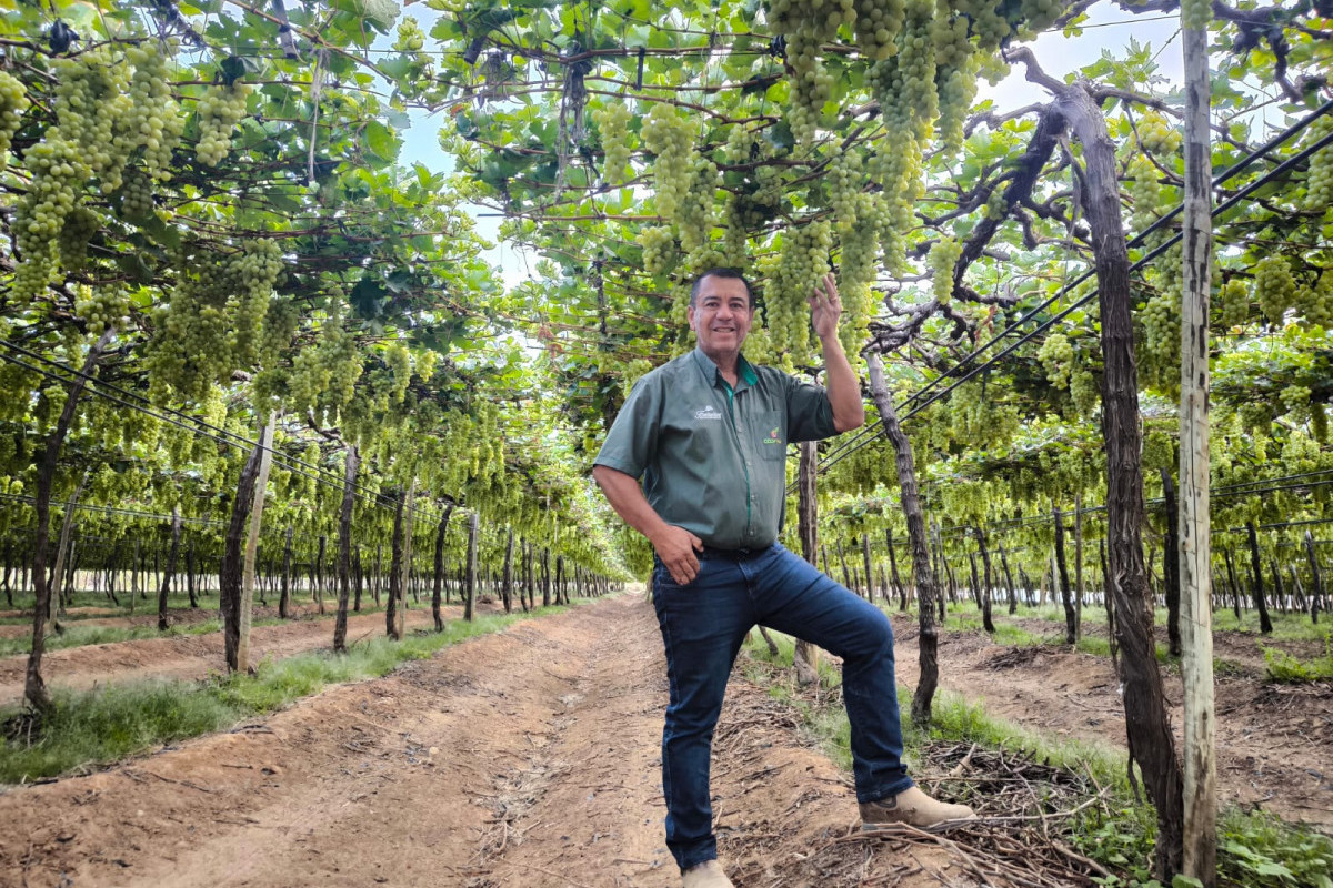 
Empresário petrolinense Francisco Nunes, mais conhecido como Chiquinho do Muquém/Arquivo Pessoal/Cortesia 