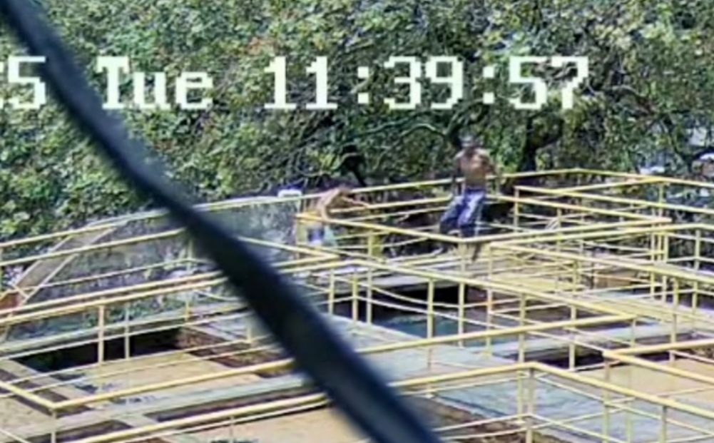 Invasores conseguiram fugir após disparo de sirene da Compesa/Foto: Reprodução/Instagram