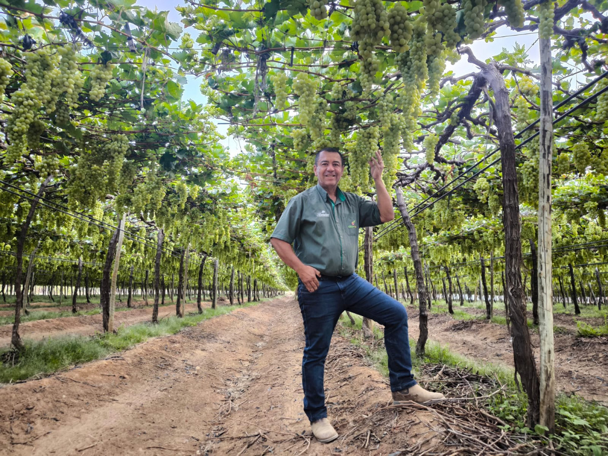 Arquivo Pessoal/Cortesia 