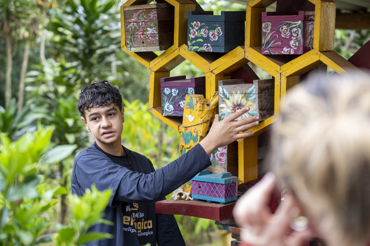 Meliponário Mel Mágico, emAndrelândia  ( Bruno Figueiredo / Secult-MG / Codemge)