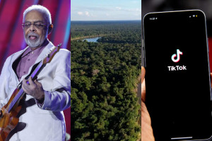 Parceria entre Gilberto Gil e TikTok prevê a plantação de mais de um milhão de árvores