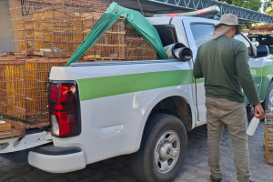 Operaçaõ da CPRH resgata aves em Serra Talhada