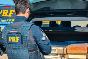 As aves estavam em 23 gaiolas improvisadas no interior e porta-mala do carro