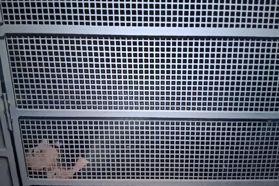 Uruguaio acusado de matar companheira passa por audiência de custódia no Recife
/Reprodução/Tv Guararapes