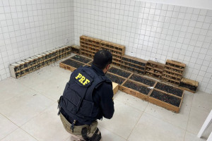 PRF encontrou animais em gaiolas apertadas