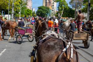 Uma barricada foi montada pela Secretaria Executiva de Controle Urbano (Secon) para impedir que os manifestantes avancem.