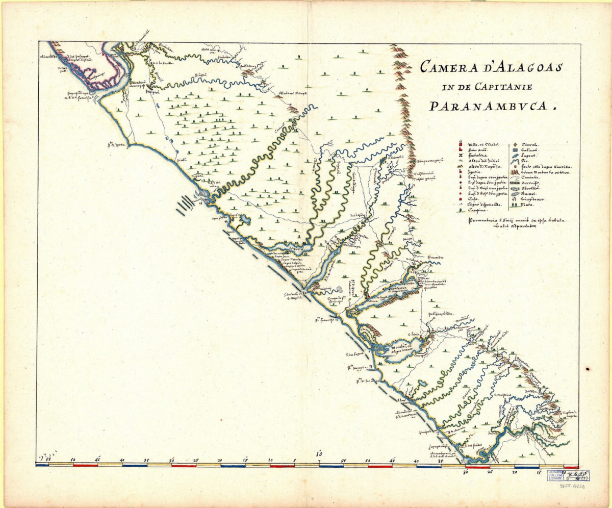 Divulga&ccedil;&atilde;o