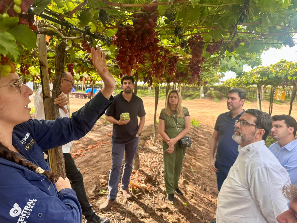 Foto: Divulgação/Suape