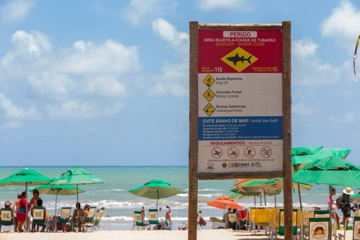 Cemit amplia campanhas e reforça alertas para o verão nas praias de Pernambuco
 (Fotos: Rafael Vieira/DP)