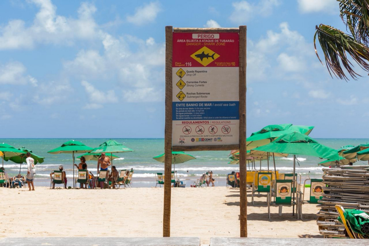 Cemit amplia campanhas e reforça alertas para o verão nas praias de Pernambuco
 (Fotos: Rafael Vieira/DP)