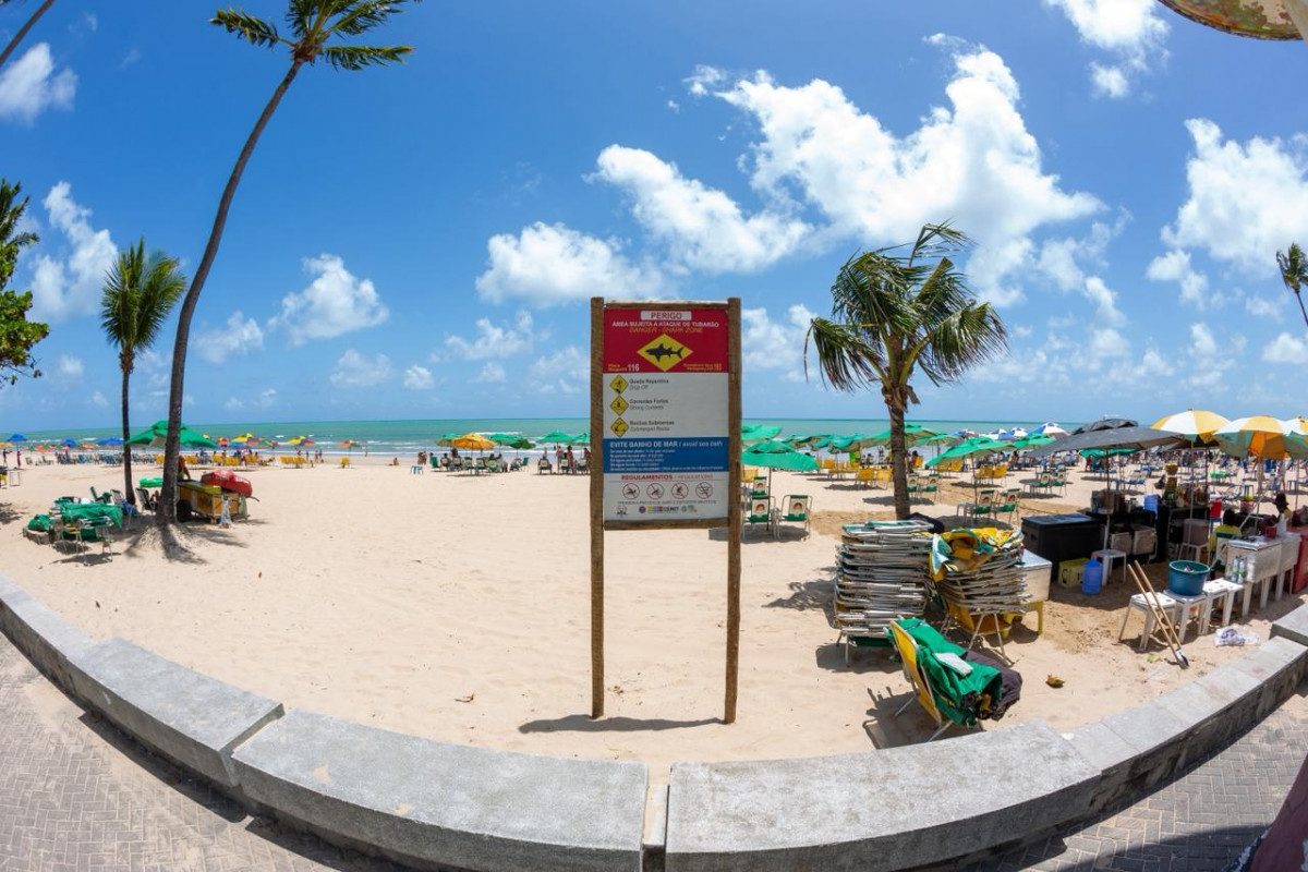 Cemit amplia campanhas e reforça alertas para o verão nas praias de Pernambuco
 (Fotos: Rafael Vieira/DP)