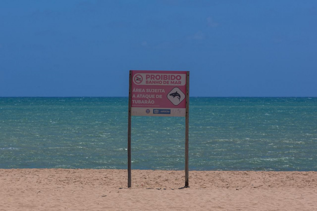 Cemit amplia campanhas e reforça alertas para o verão nas praias de Pernambuco
 (Fotos: Rafael Vieira/DP)