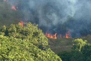 Incêndio atinge Ilha do Zeca, no Recife